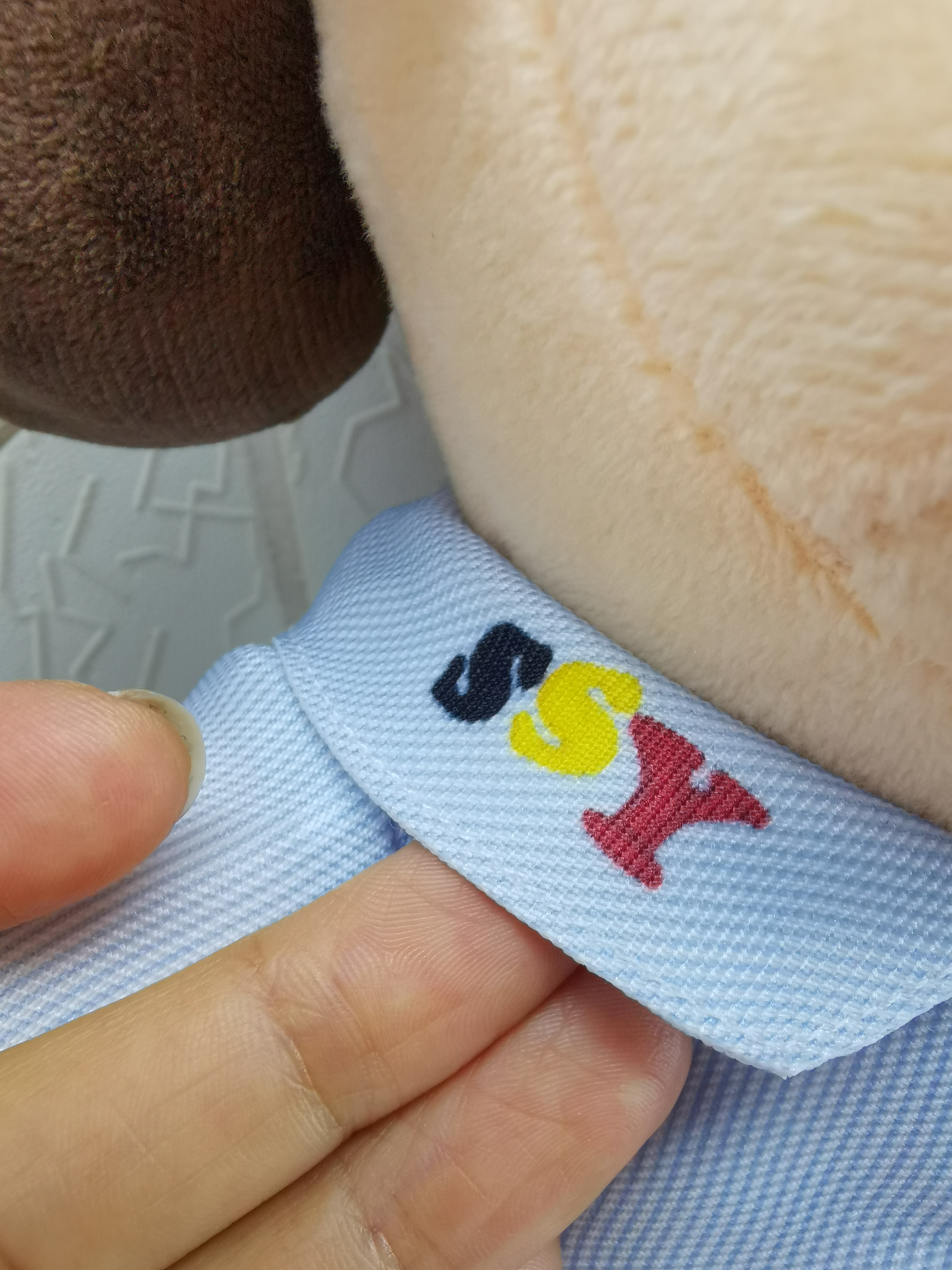 嗇色園主辦可愛幼兒園 產品照片（24/27）